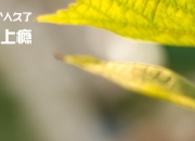 开云体育在线-F1新赛季揭幕战与足球焦点战，速度与战术的双重盛宴