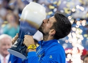 开云体育在线-年终总决赛逆转拉沃尔杯，德约科维奇扛起全队的简单介绍