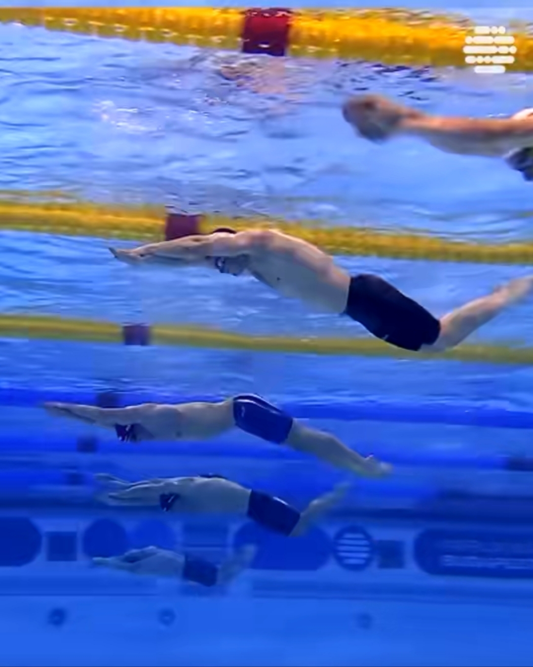 日本选手刷新游泳世界纪录! 日本选手刷新游泳世界纪录!