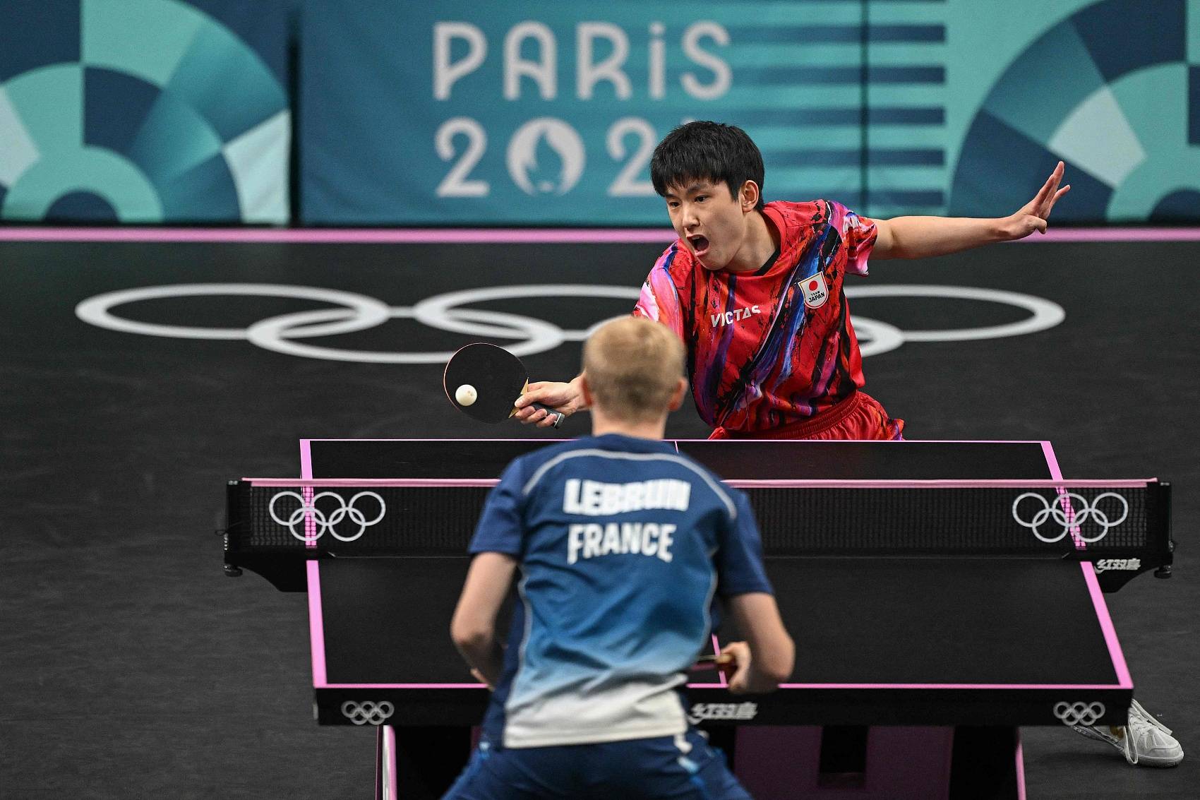 包含英格兰队轻取法国队，张本智和高光表现的词条