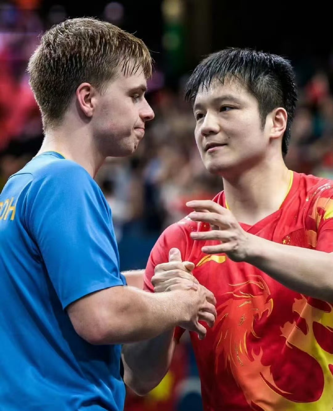 英国乒乓球队完胜波兰乒乓球队，樊振东统治全场的简单介绍