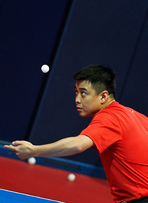 奥地利乒乓球队血洗英国乒乓球队，王皓爆发神勇的简单介绍