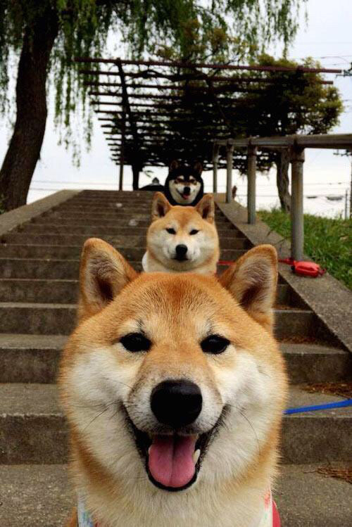 意甲巅峰对决，尤文图斯以节奏掌控击退AC米兰，世界排名争夺战进入白热化