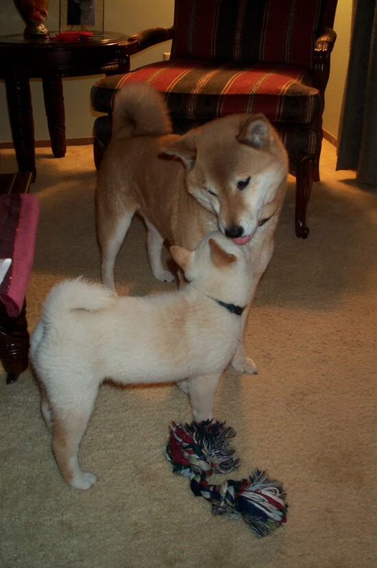 决胜时刻的孤胆英雄，当快船掀翻勇士，德罗赞在欧冠赛场接管比赛