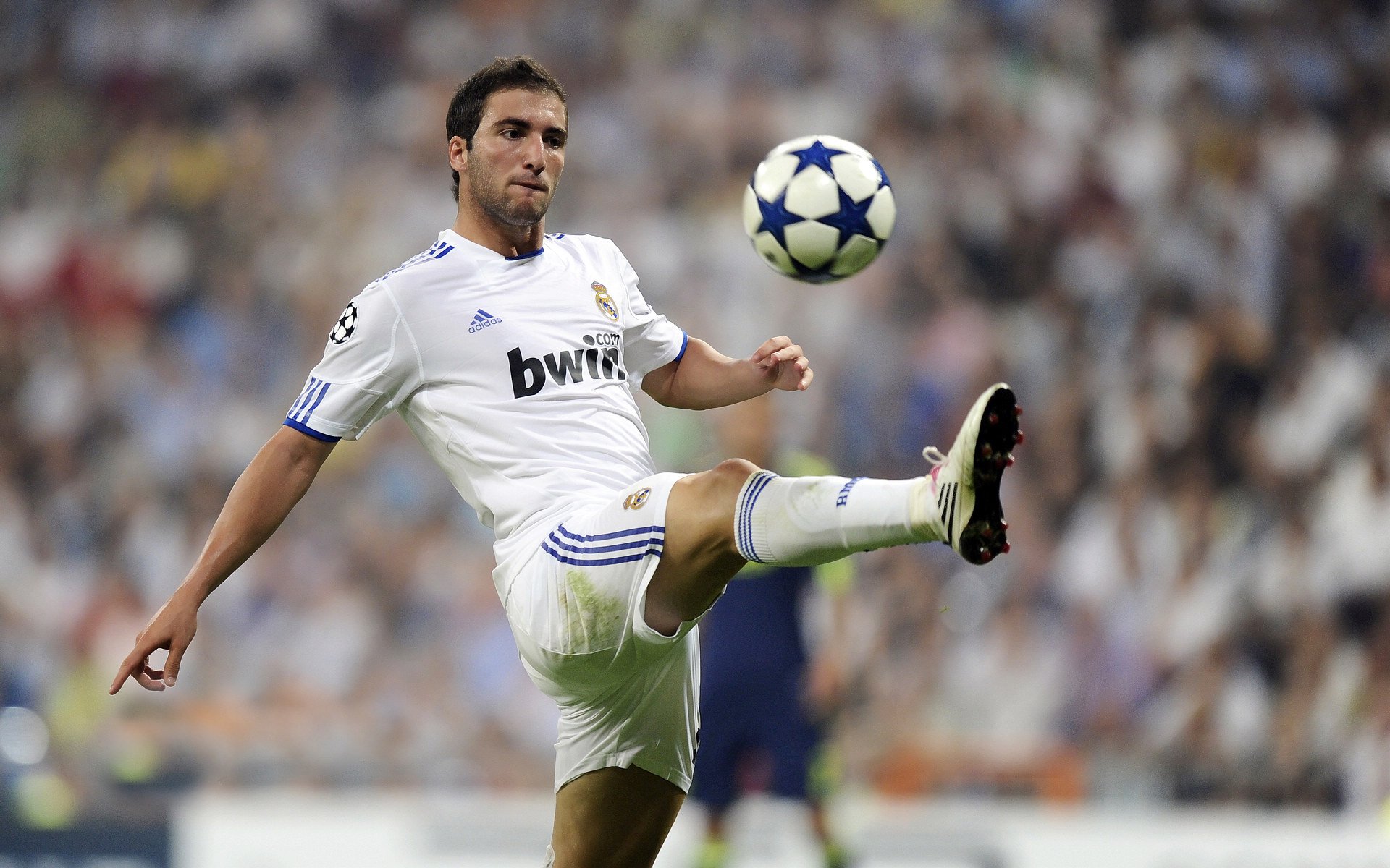 辽宁队强势拿下猛龙，小贾伦惊艳四座